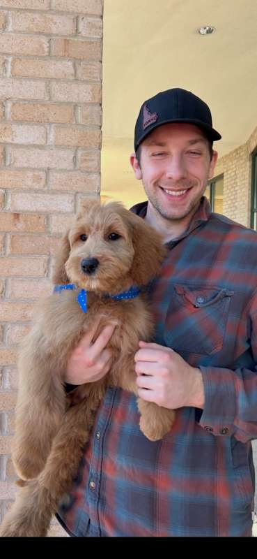A Ranch Q puppy being held by its new owner