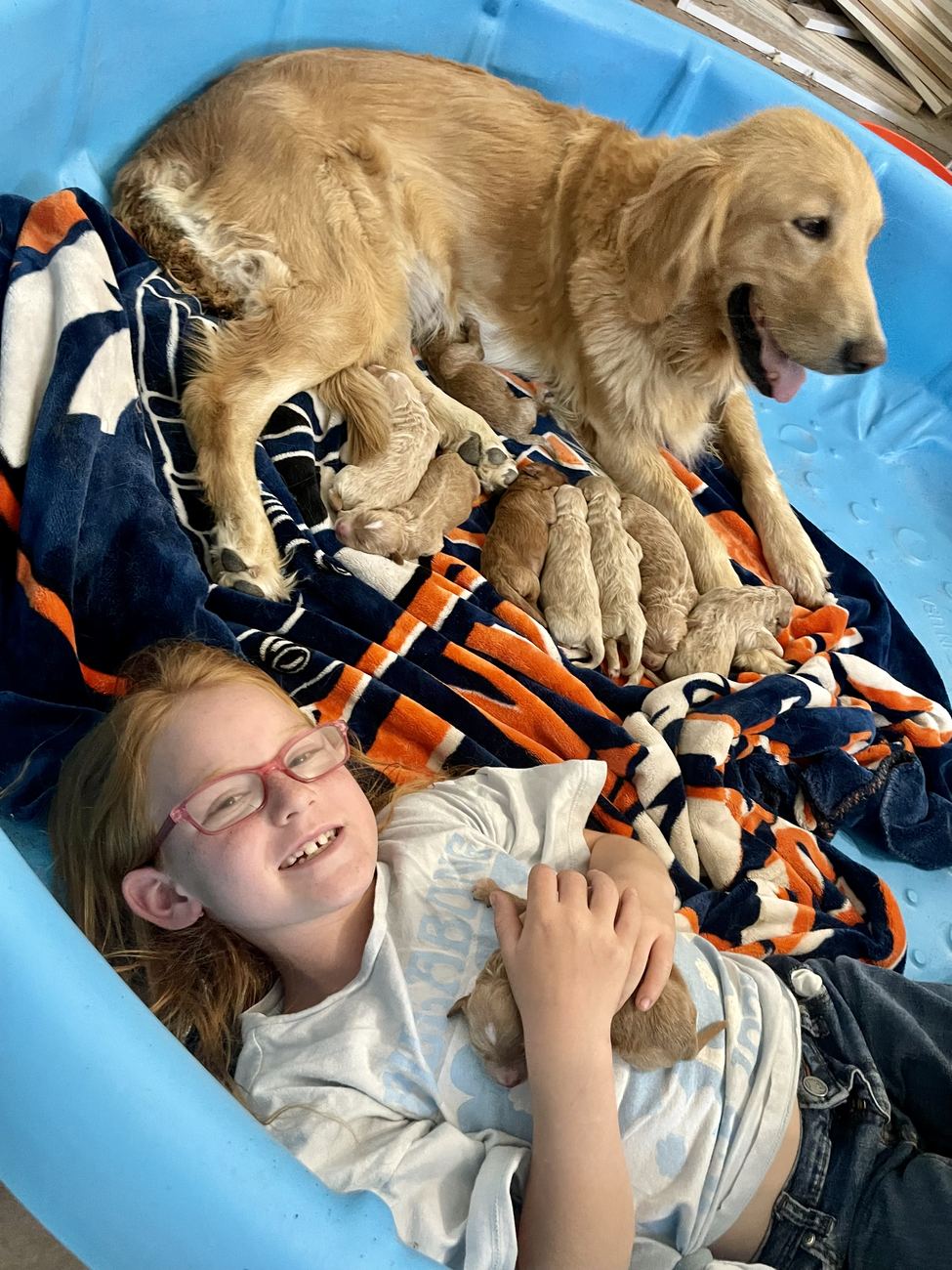 Reinsley lying in the kiddie pool cuddling a newborn puppy while Sparkle nurses the rest of the litter