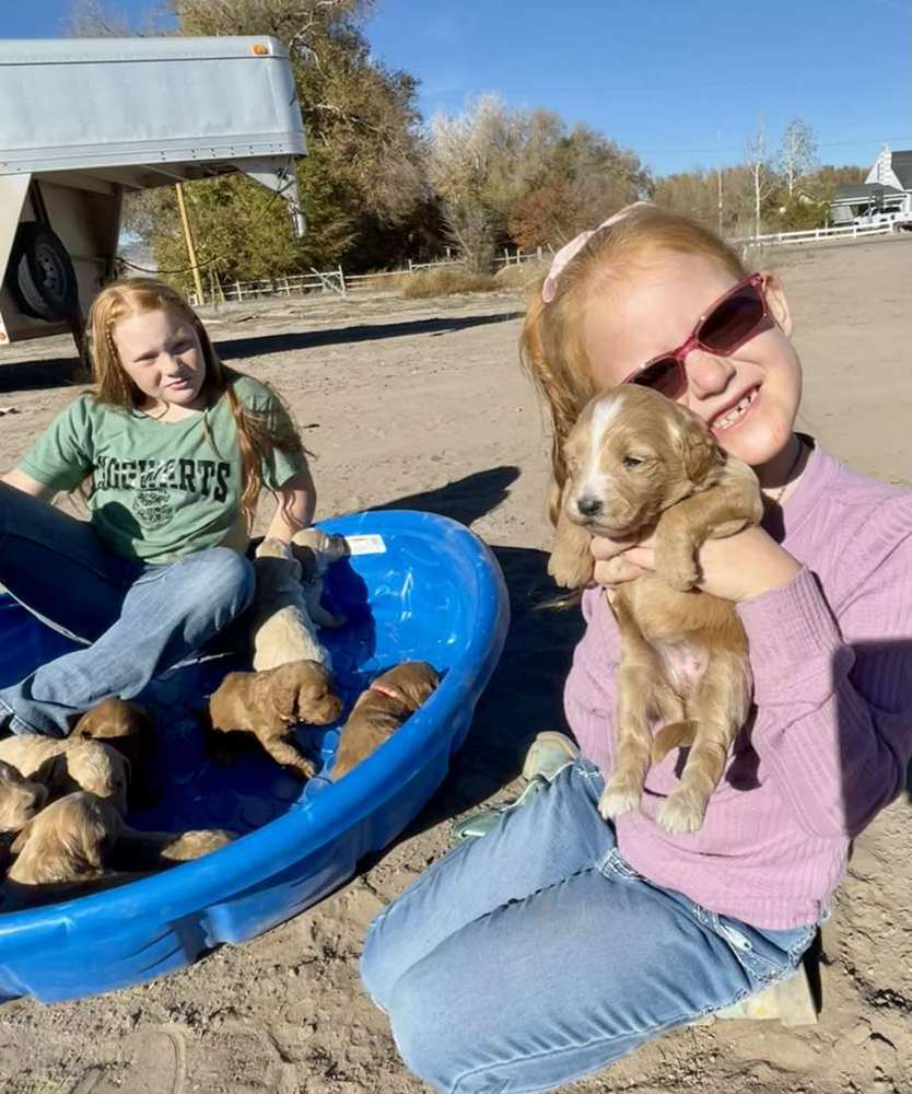 The girls with the puppies