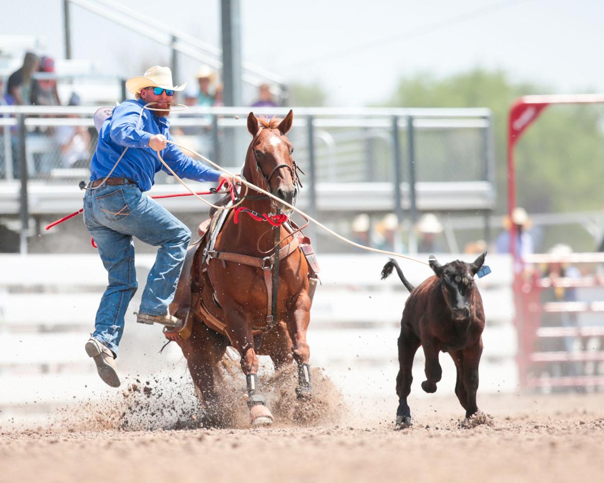 Trampus Quarnberg stepping off his horse with the calf roped at Cheyenne Frontier Days, 2021