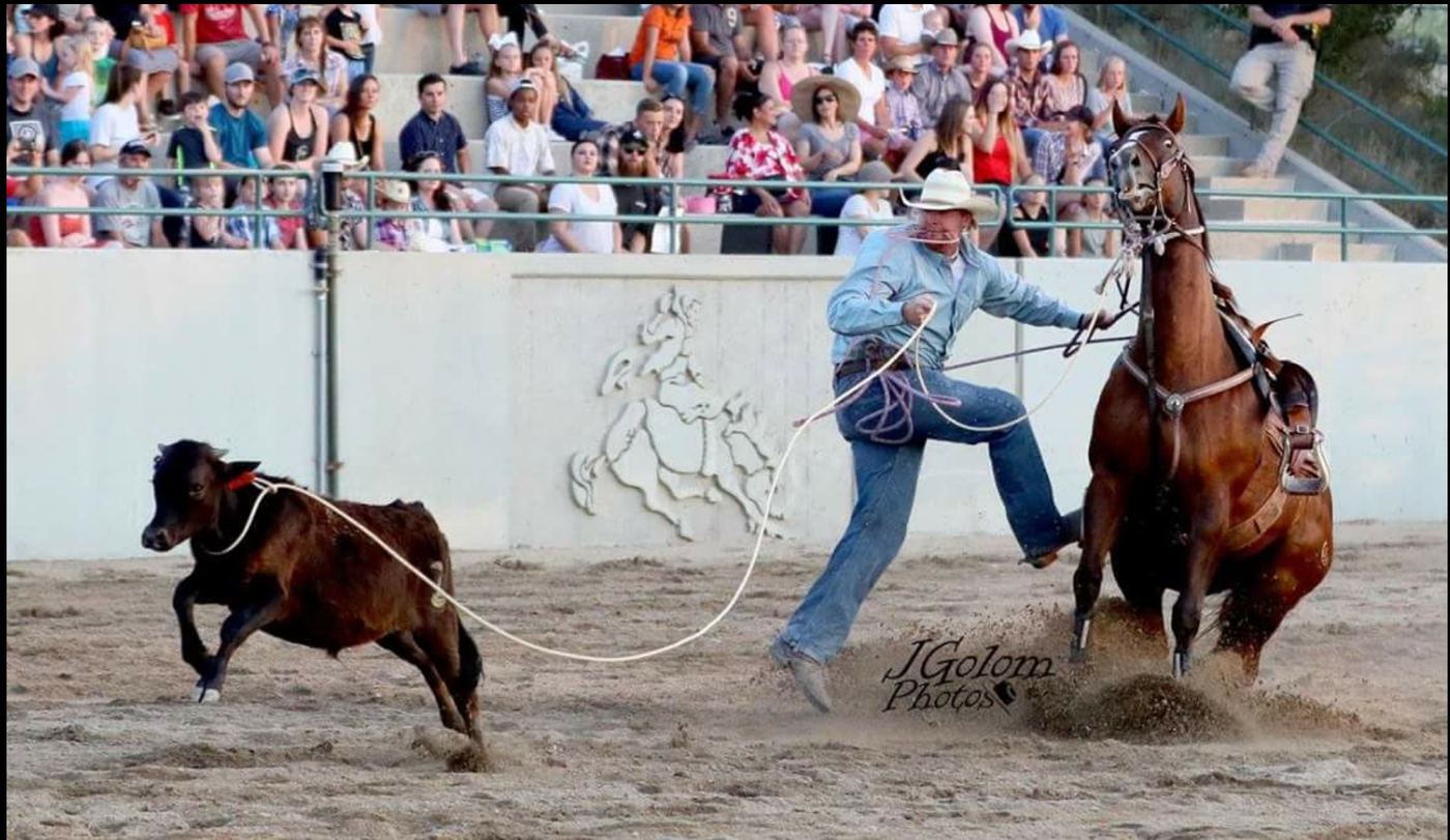 Trampus tie-down roping in front of a full grandstand